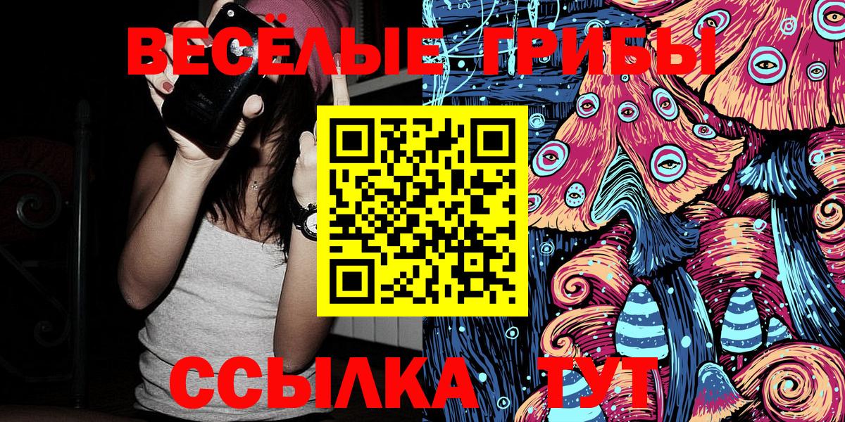 Псилоцибиновые грибы GOLDEN TEACHER Чита