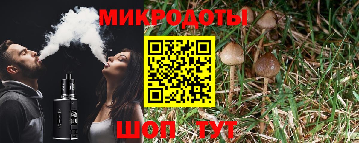 Псилоцибиновые грибы мицелий  Псилоцибиновые грибы ЛСД  Вход с VPN  Чита 